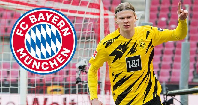 年轻阵容的 年轻阵容的